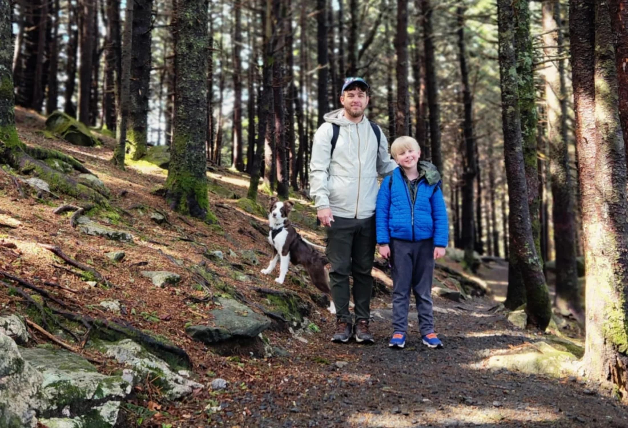 Dogs calm and comfortable in a new trail environment