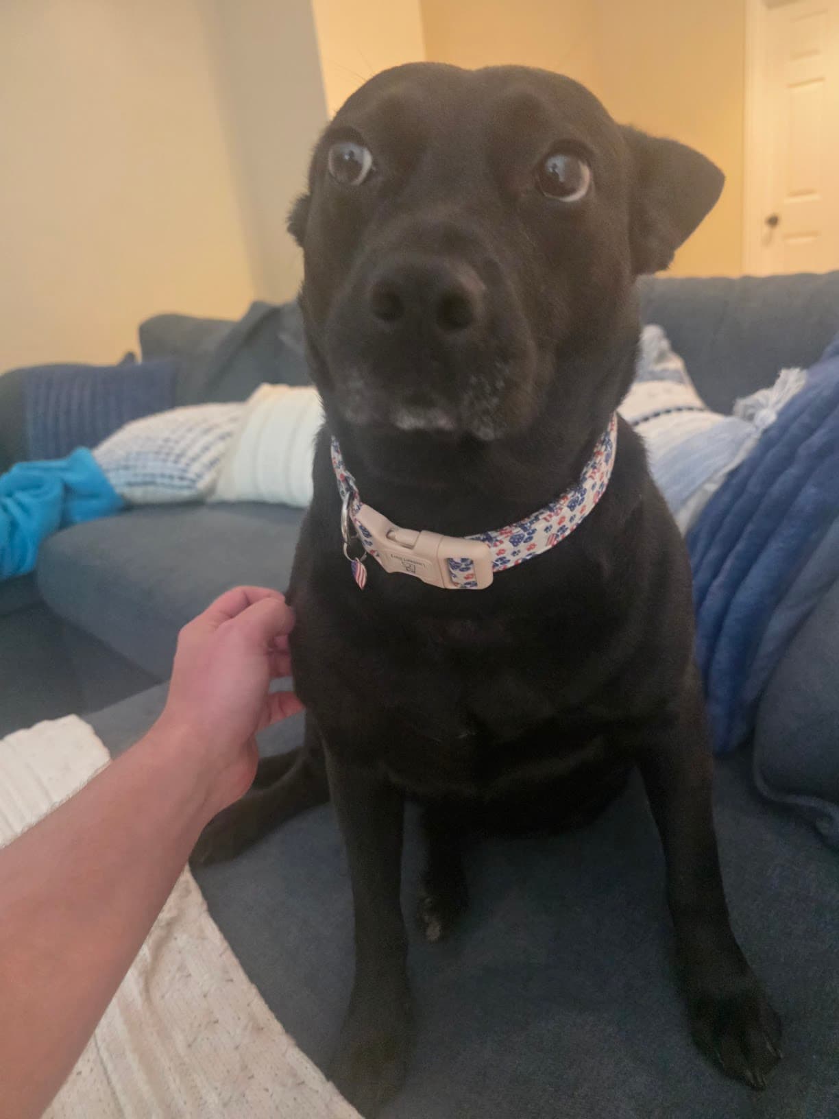 Stevie girl sitting on a couch during training